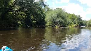 [Julie through the rapids, 30.5570735, -83.2600238]