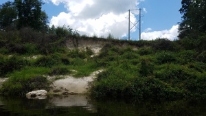 [Power line, right bank, 30.5203671, -83.2399187]