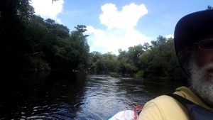 [A pack following, 30.51305, -83.24481]