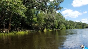 [Approaching Florida Campsites Ramp, 30.50184, -83.24272]