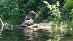 [Gorilla rock, 30.4966763, -83.2419077]
