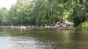 [Saturday crowd at Madison Blue Spring, 30.48115, -83.24359]