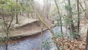 [Back upstream, 13:18:25, 30.5837666, -83.0535975]