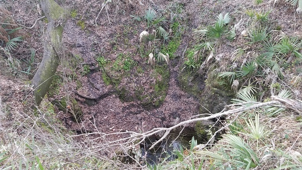 [Steep drop, 16:28:00, 30.4180556, -83.1552778]