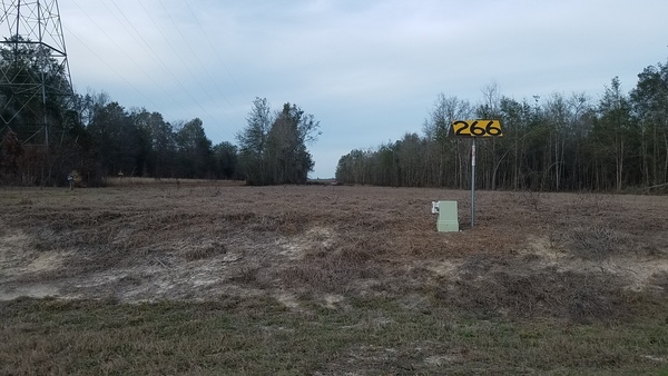 [N. on Sabal Trail fracked methane pipeline, SW CR 143, 17:27:27, 30.4208426, -83.1805095]