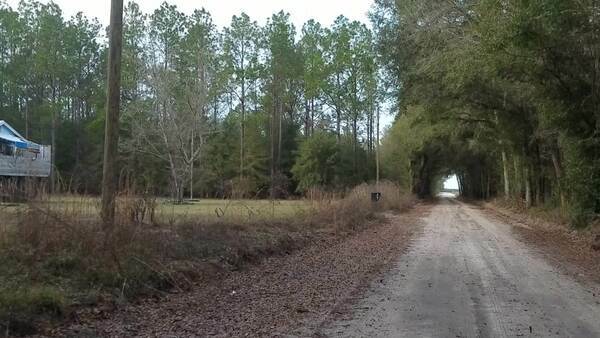 [Movie: Tree tunnel, SW 39th Ave., 17:27:35, 30.4208426, -83.1805095 (52M)]