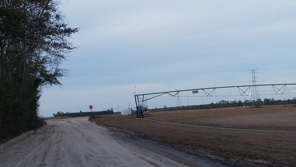 [Center pivot, SW 39th Ave. @ SW 69th Dr., 17:29:55, 30.4347063, -83.1823063]