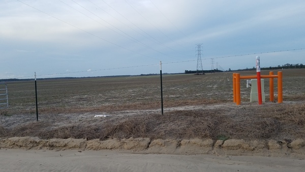 [N. Sabal Trail fracked methane pipeline, SW 69th Dr., 17:31:06, 30.4354171, -83.1800343]