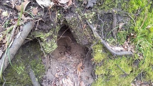 [Something lives here, 15:50:22, 30.4178710, -83.1568423]