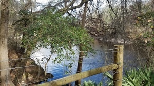 [End of fence, 15:52:10, 30.4174262, -83.1561020]