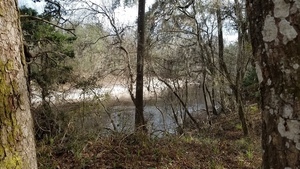 [Beach on far side (left or east bank), 15:52:31, 30.4174262, -83.1561020]