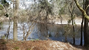 [Upstream view, 15:52:54, 30.4174262, -83.1561020]