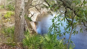 [Swing rope, 16:03:09, 30.4164406, -83.1565522]