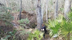 [Down to the sinkhole, 16:03:58, 30.4164406, -83.1565522]