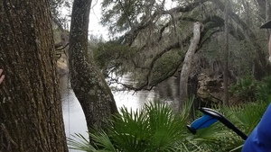 [Downstream, 16:31:03, 30.4180556, -83.1552778]