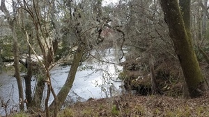 [Downstream to the spring outfall, 16:41:46, 30.4177494, -83.1547851]