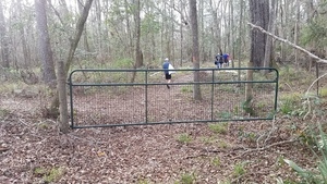 [There they go, 16:42:36, 30.4176065, -83.1569645]