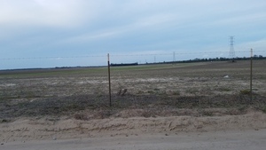 [Road, power line, pipeline beyond, 17:30:34, 30.4353394, -83.1820844]