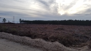 [Sabal Trail pipeline SW from SW 40th Ave., 17:35:55, 30.4527158, -83.1780801]