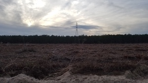 [Sabal Trail pipeline W from SW 40th Ave., 17:35:56, 30.4527694, -83.1780995]