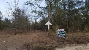 [For Sale, E of SW 40th Ave., 17:36:12, 30.4533536, -83.1780026]
