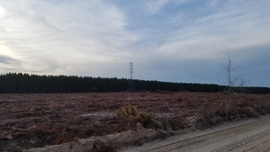 [More STT NW of SW 40th Ave., 17:36:26, 30.4541287, -83.1780187]