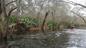 [Palmettos, 11:43:27, 31.004425, -83.294155]