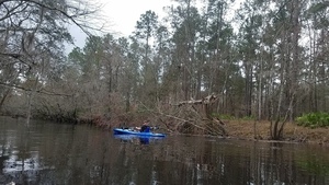 [Tom Potter below right bank, 12:04:20, 30.998115, -83.289253]