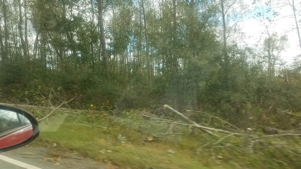 Trees down, 16:05:13, 31.5100827, -83.7672460