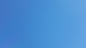[Big mosquito, 13:39:34, 30.6326420, -83.3089612]