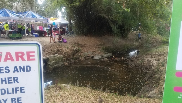 Scotti downstream