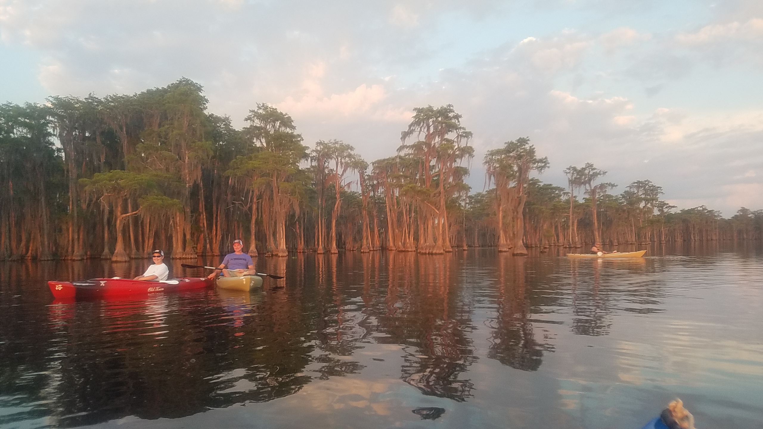 Many paddlers