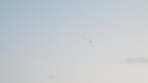 [Sky]