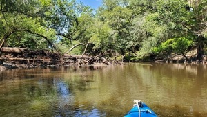 [Deadfall upstream of VMW RR Bridge site, 11:13:02, 30.8414105, -83.3530515]