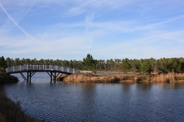 Bridge over lake