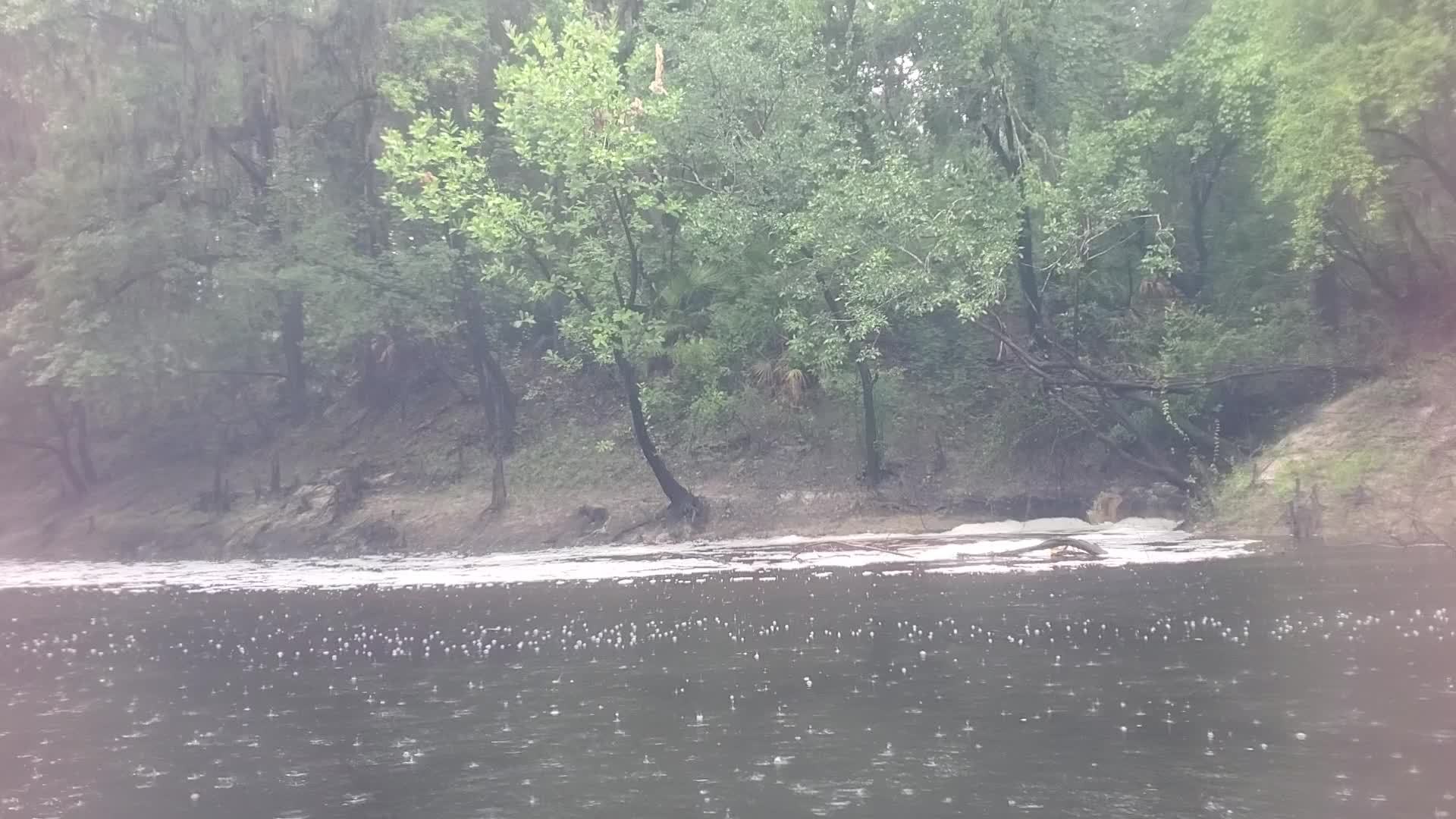 Movie: Gushing (Rayonier Runoff), 11:19:31, 30.6856991, -83.0542965