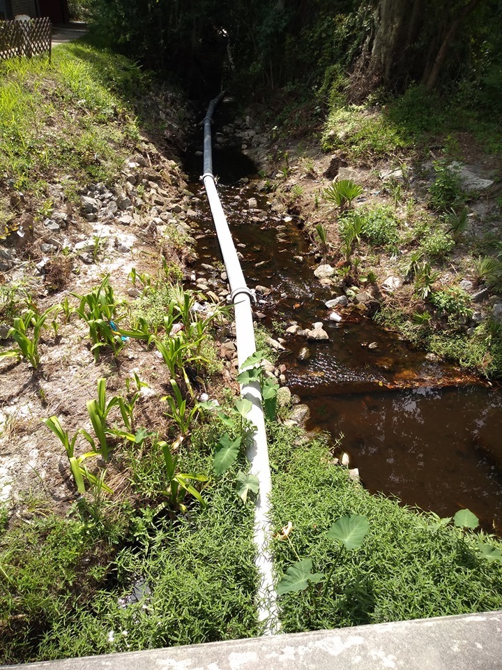 Down the creek