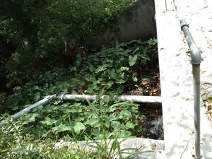 [Pipe bend below bridge]