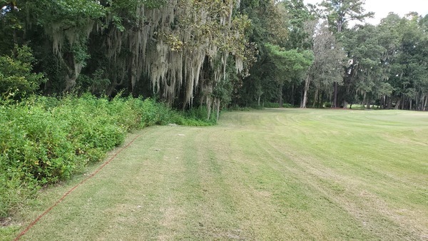 Looking north