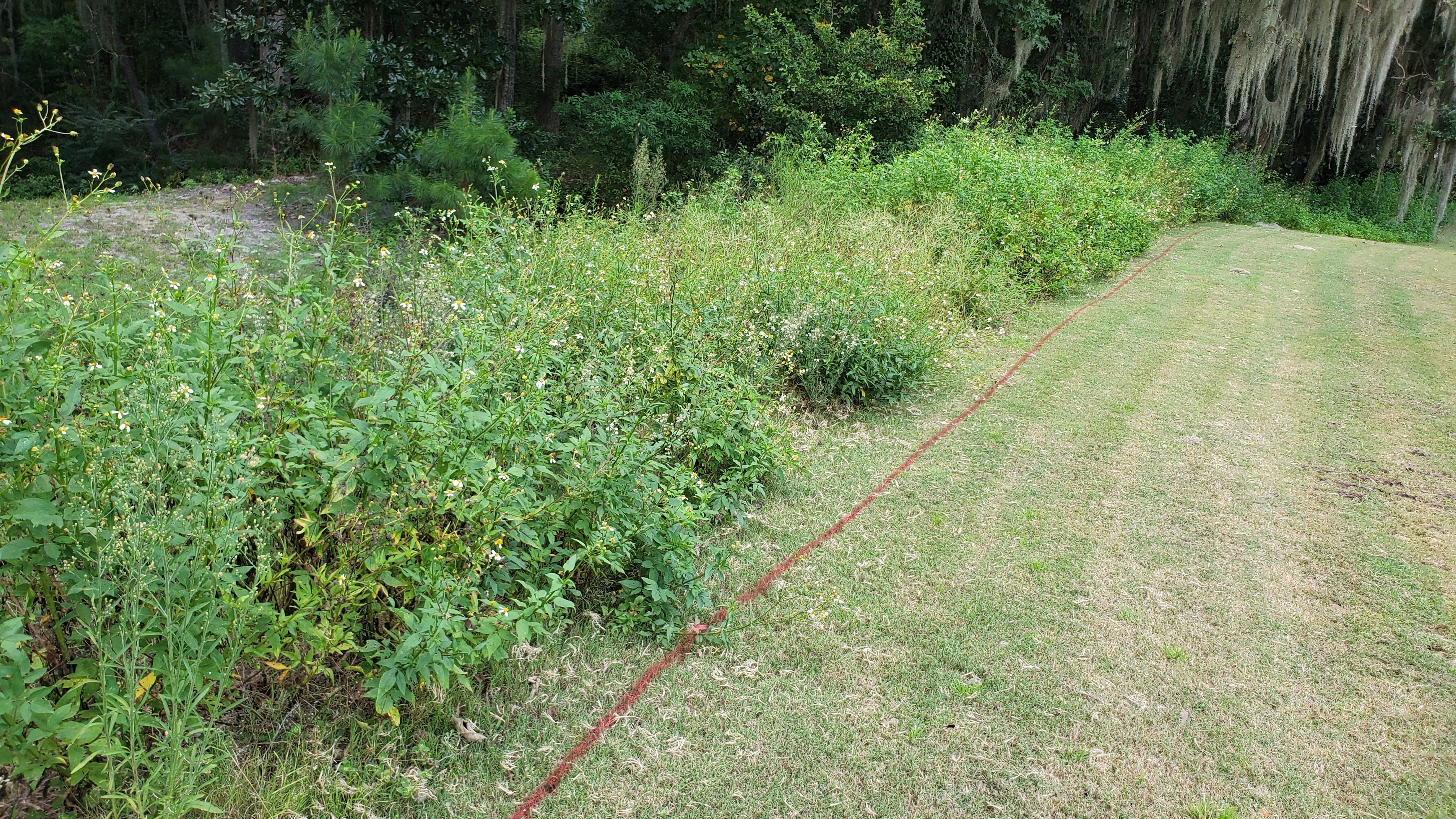 Red line