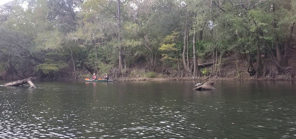 More paddling than racing, plus turtle