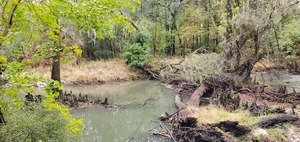[Logjam, 16:24:15, 30.8515488, -83.3330115]