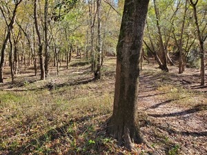 [Inland again]