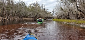 [Narrow red water, 11:16:43, 30.7973227, -82.4275757]