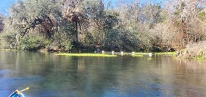 [Roped off, 11:13:13, 29.972865, -82.7597802]