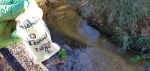 [Sample, Crooked Creek @ Devane Road]