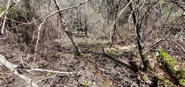Water visible