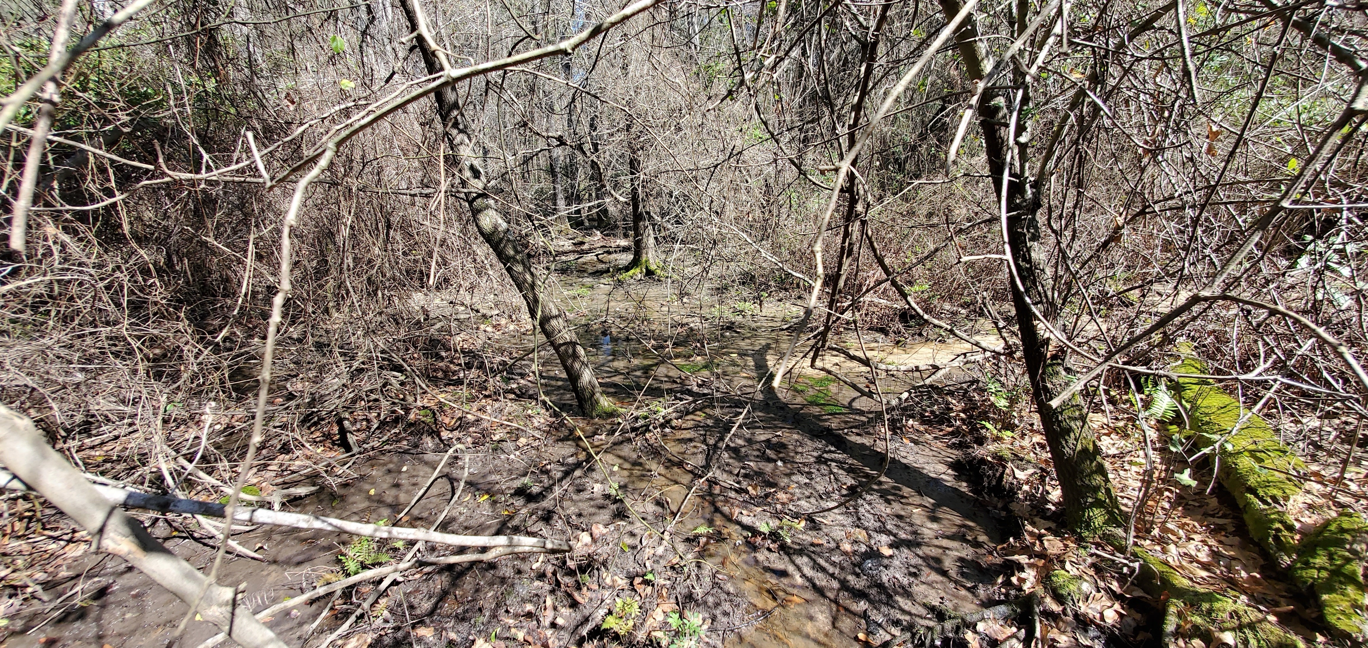 Water visible