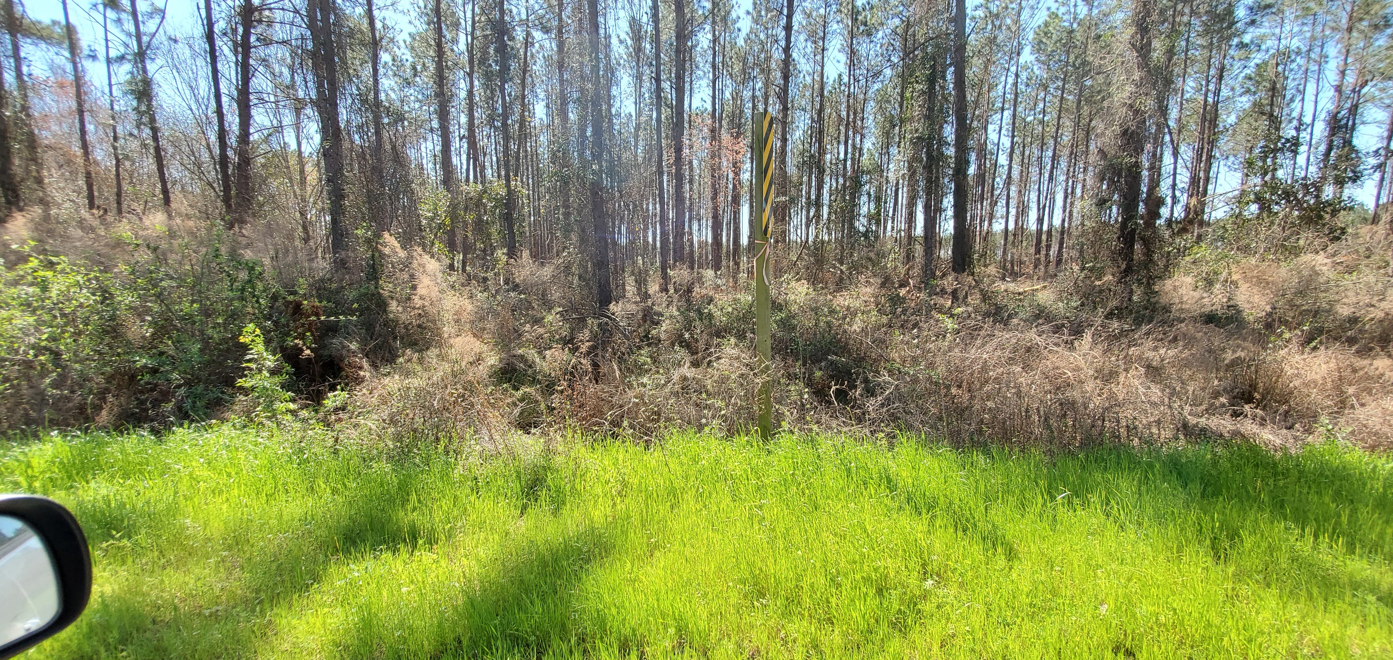 Downstream @ Warwick Hwy, 31.748478, -83.762849