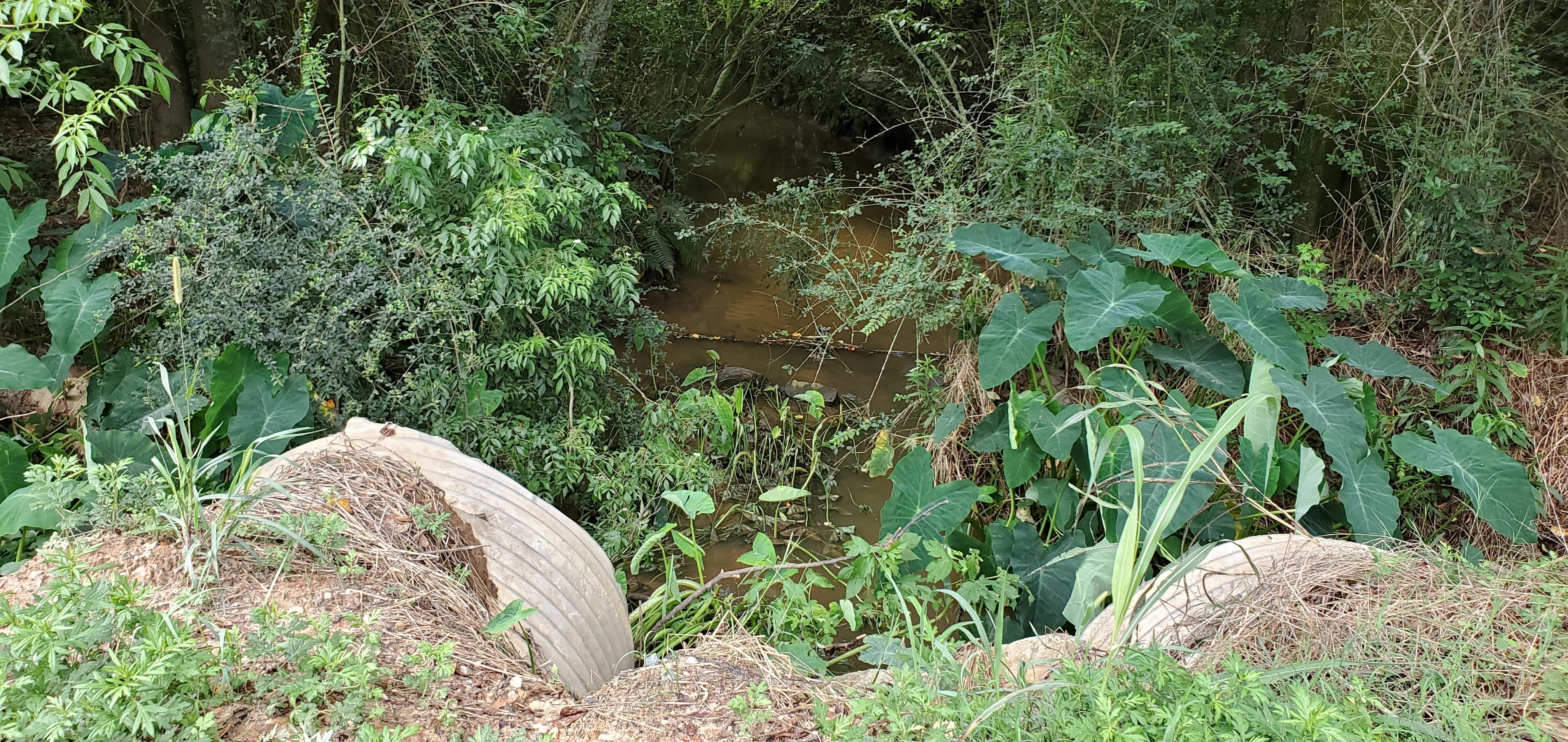 Crooked Creek @ Monument Church Road